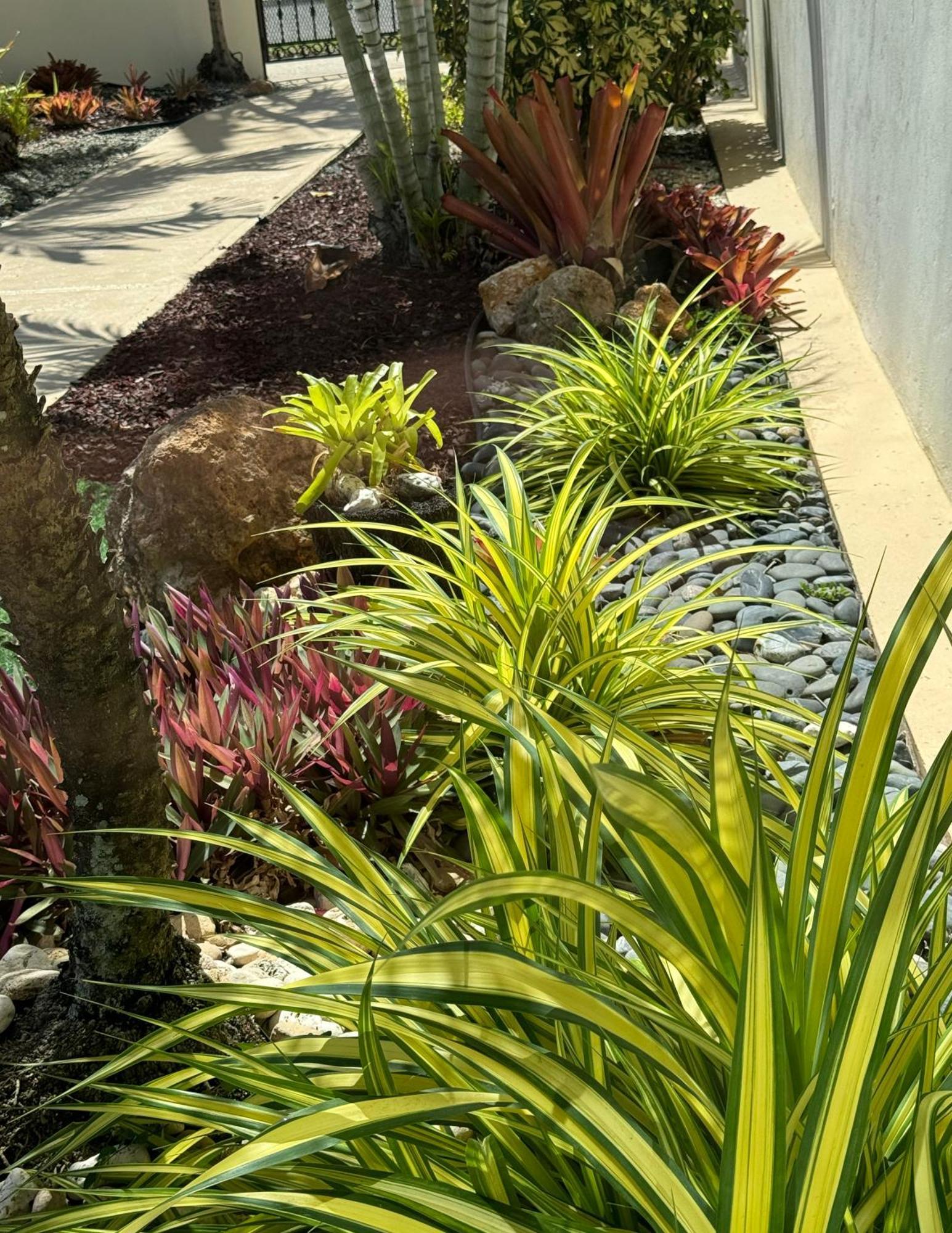 Ocean Luxe In Paradise - Les Des Dieux * Rincon