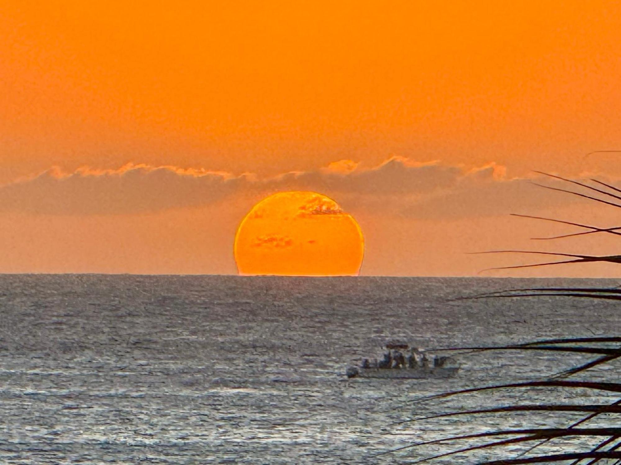 Ocean Luxe In Paradise - Les Des Dieux