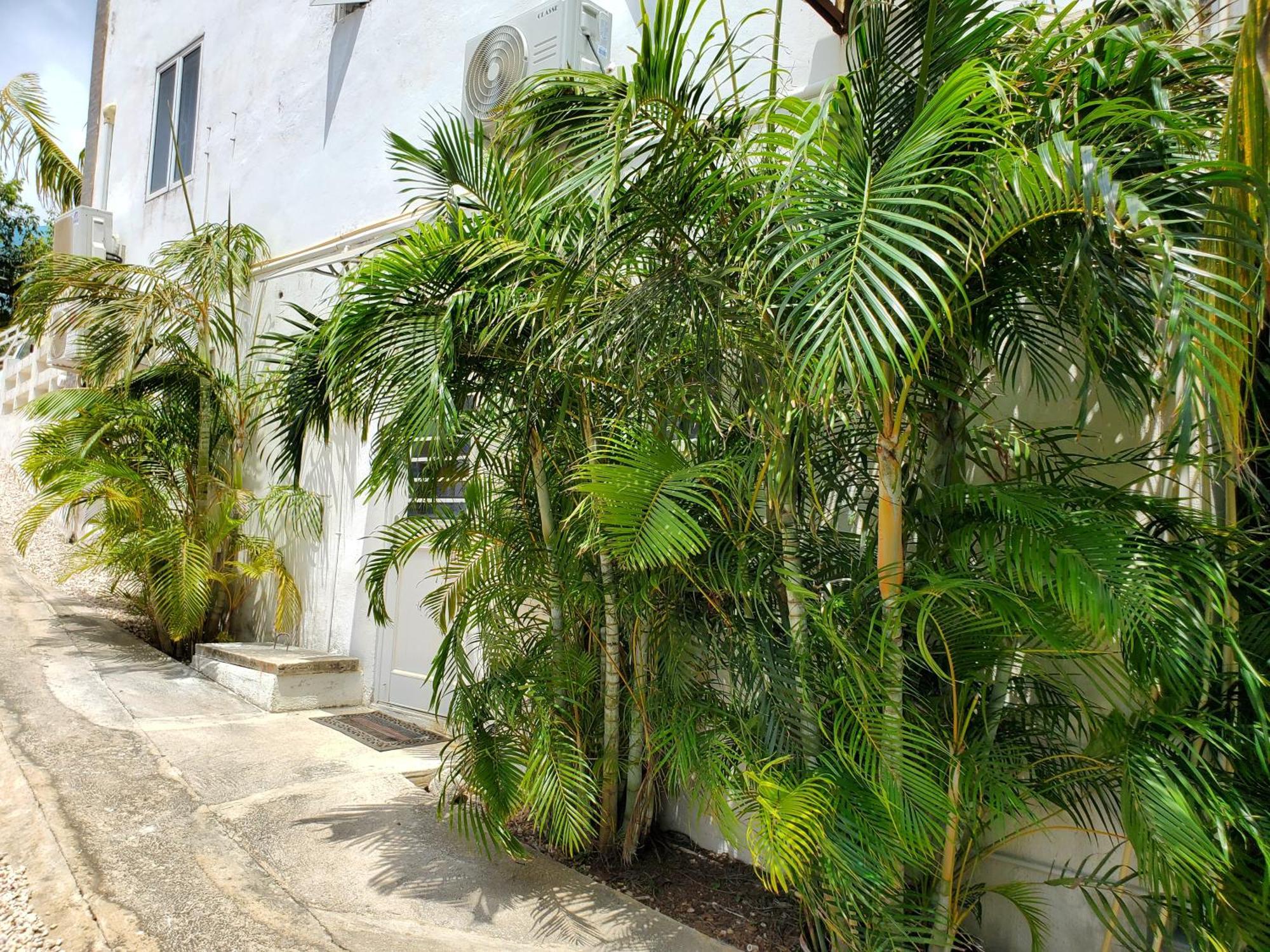 Grand Sun Valley Residences Apartment *