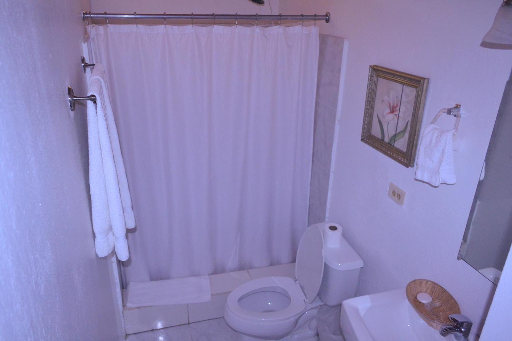 Habitation Des Lauriers Hotel Cap-Haitien