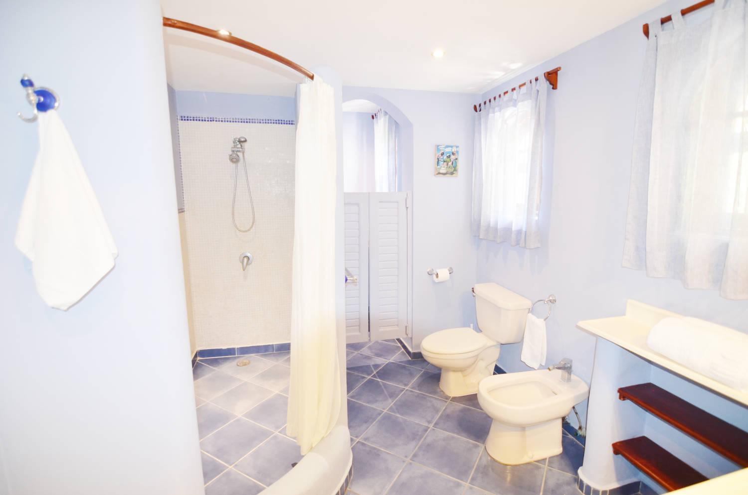 & Larimar Villa *