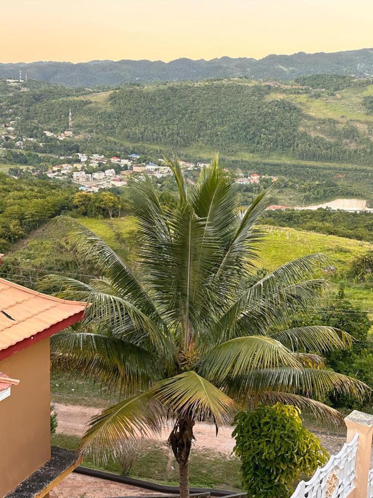 Lion's View Guest house Mandeville