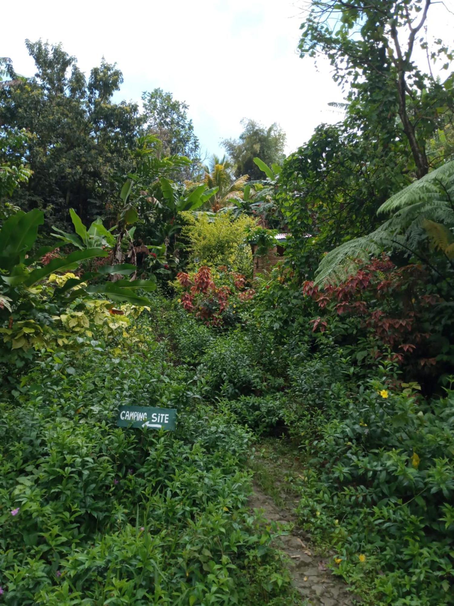 Berkey's Jungle Paradise Holiday home Roseau