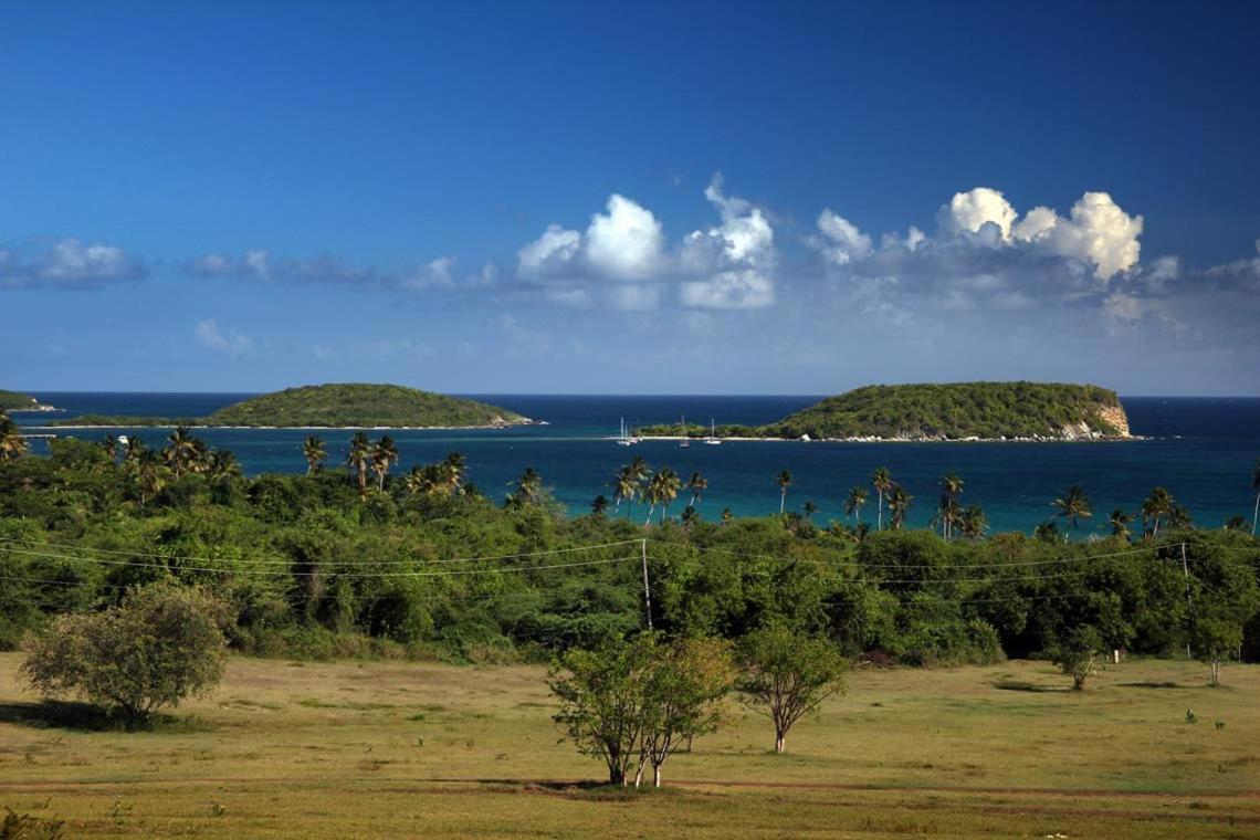 Hacienda Tamarindo