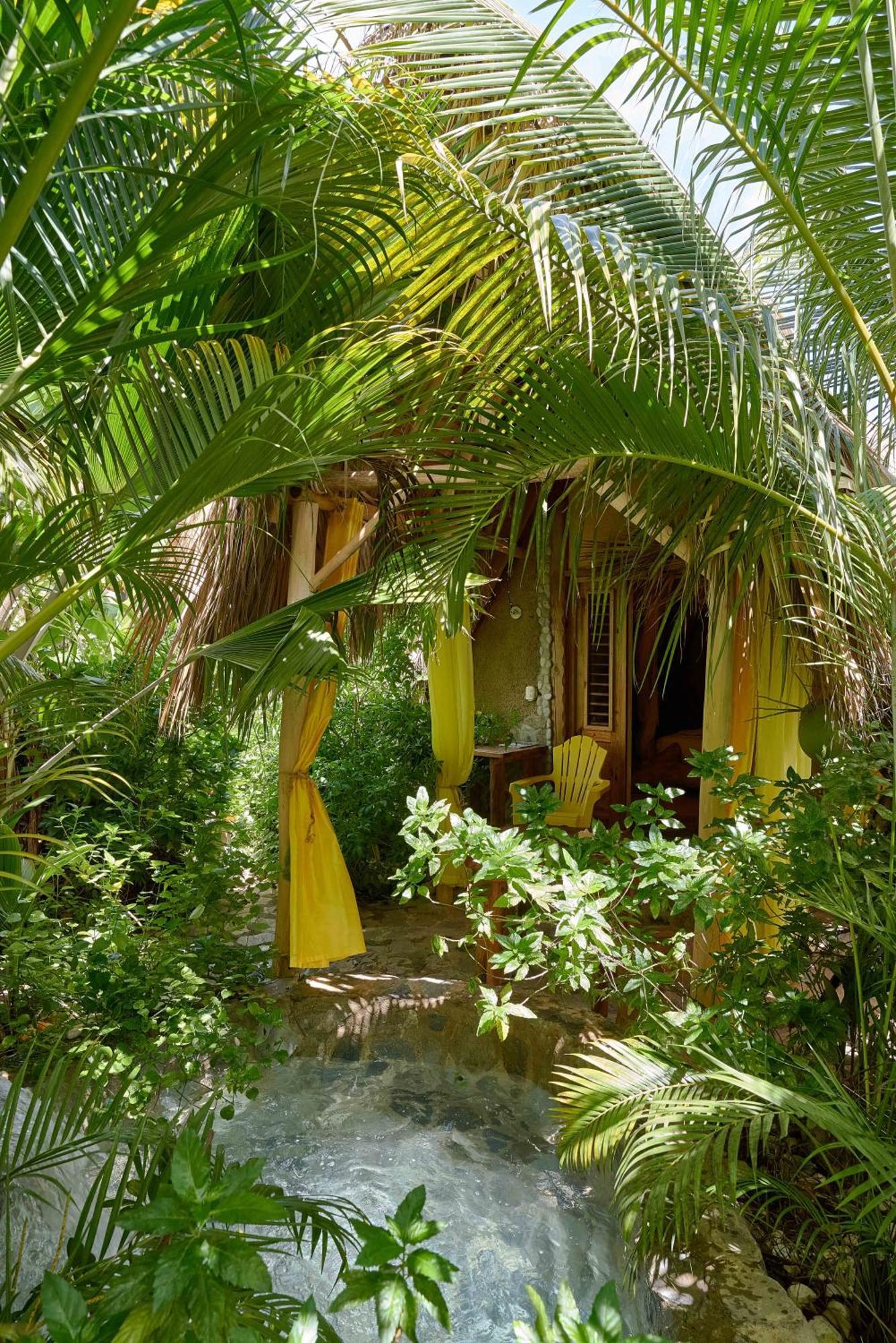 Bed & Breakfast Tropical & Restaurant-pizzeria