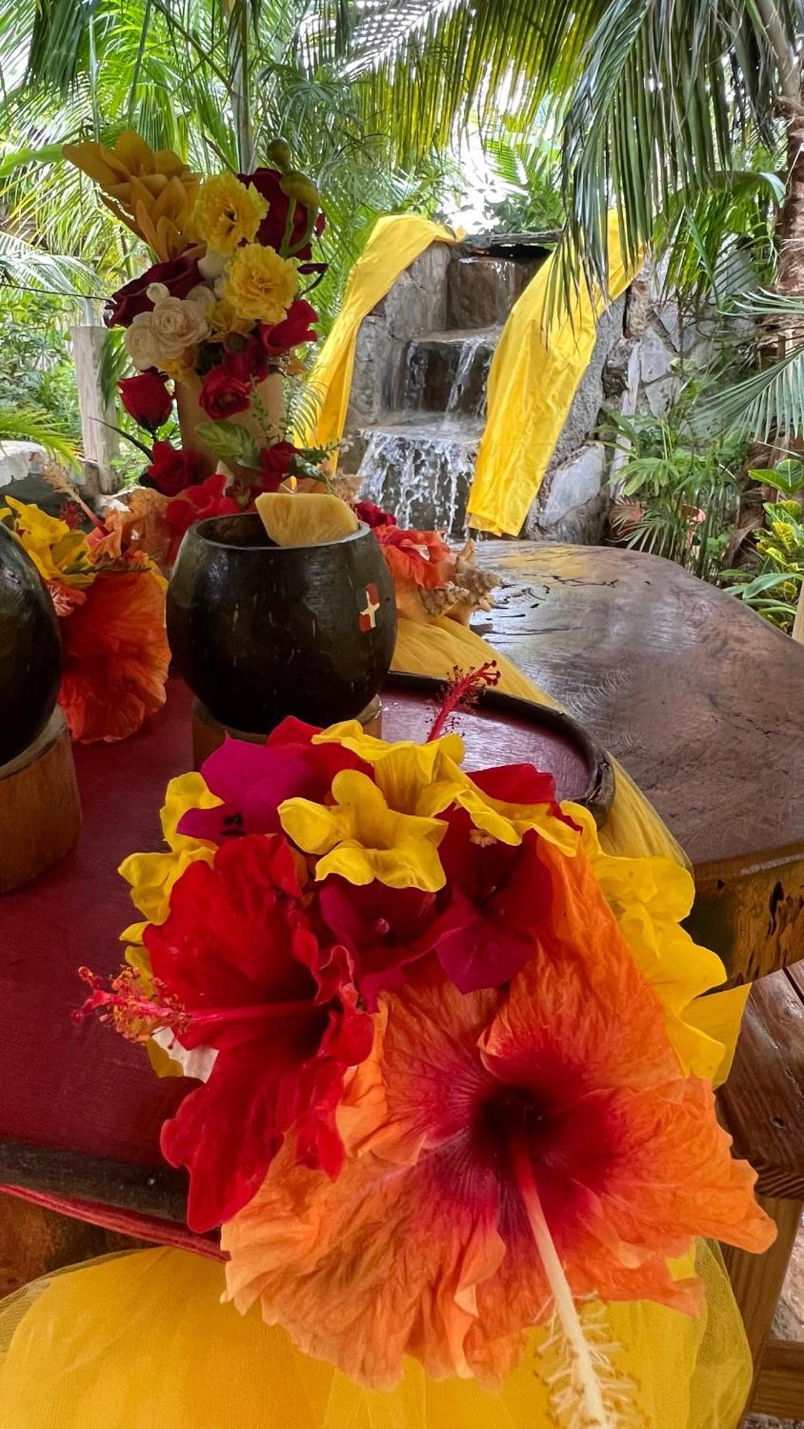 Bed & Breakfast Tropical & Restaurant-pizzeria 4*