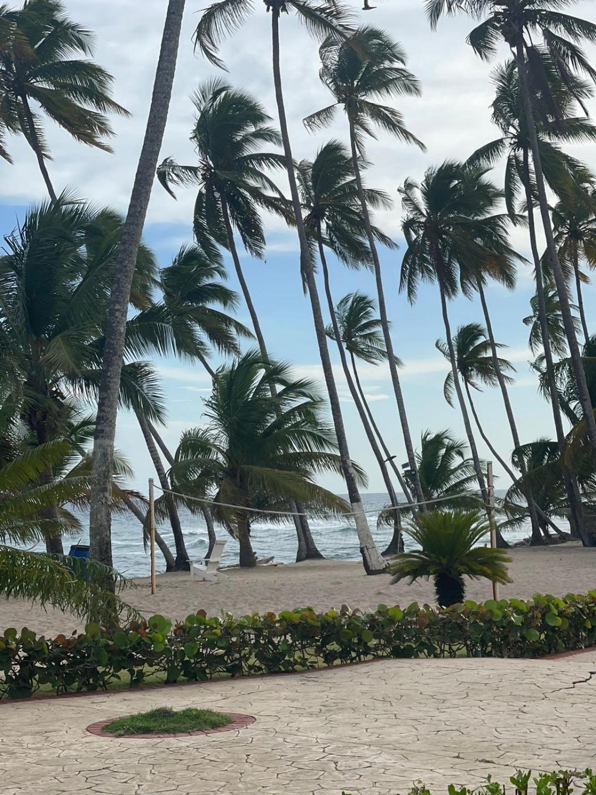 Apartamento Nana Tu Refugio Con Vista Al Mar, Piscina, Wifi, Lavadora Secadora Reserva Ahora *