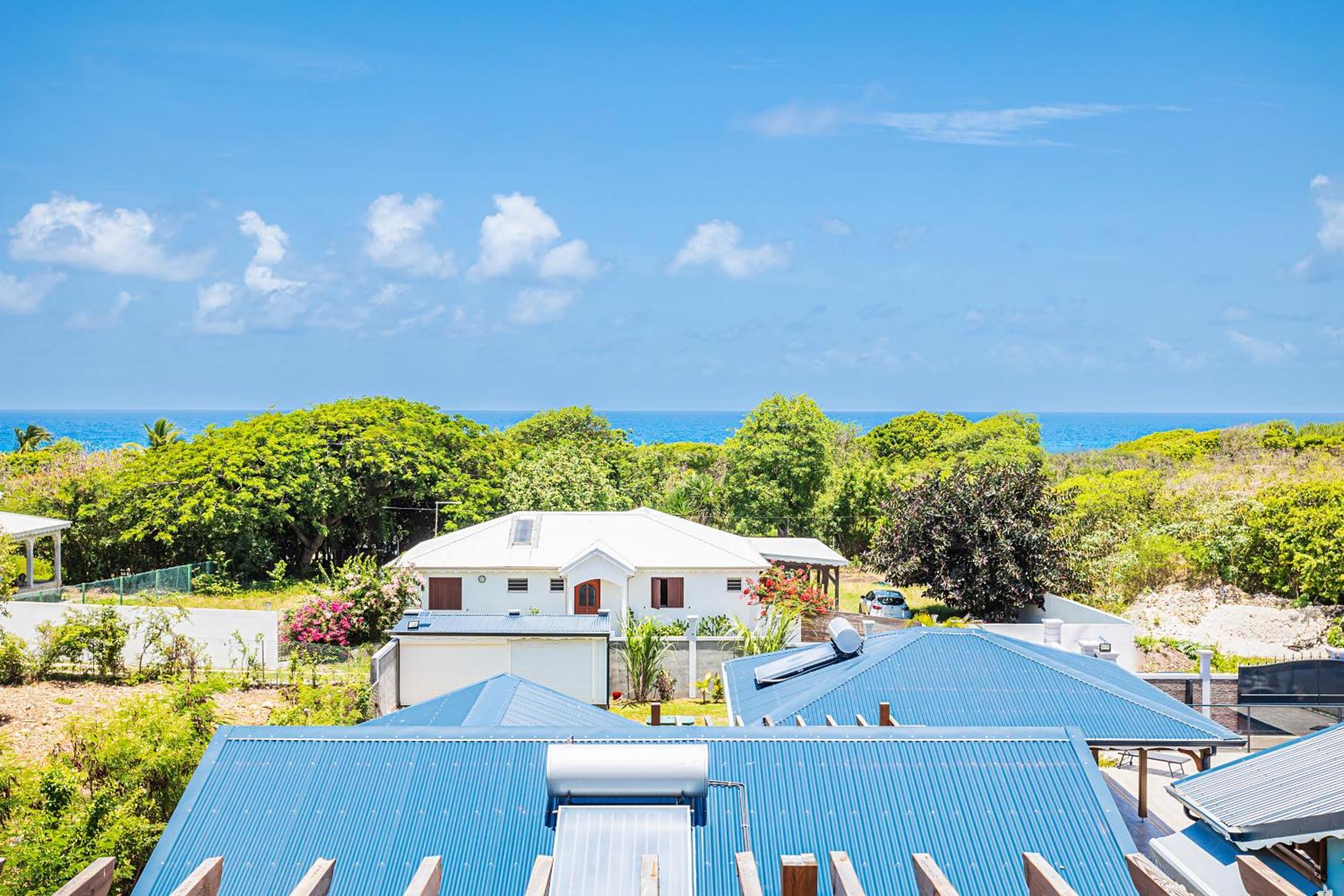 Dalina * Saint-Francois (Grande-Terre)