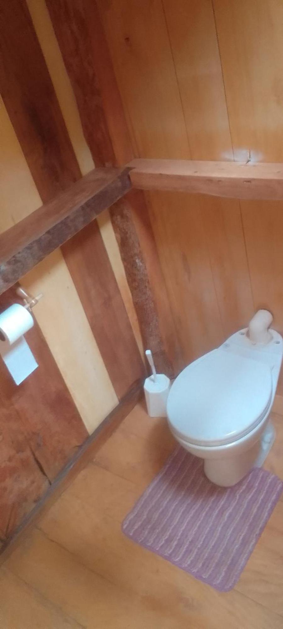 Natty Tropical Valley Hotel Roseau