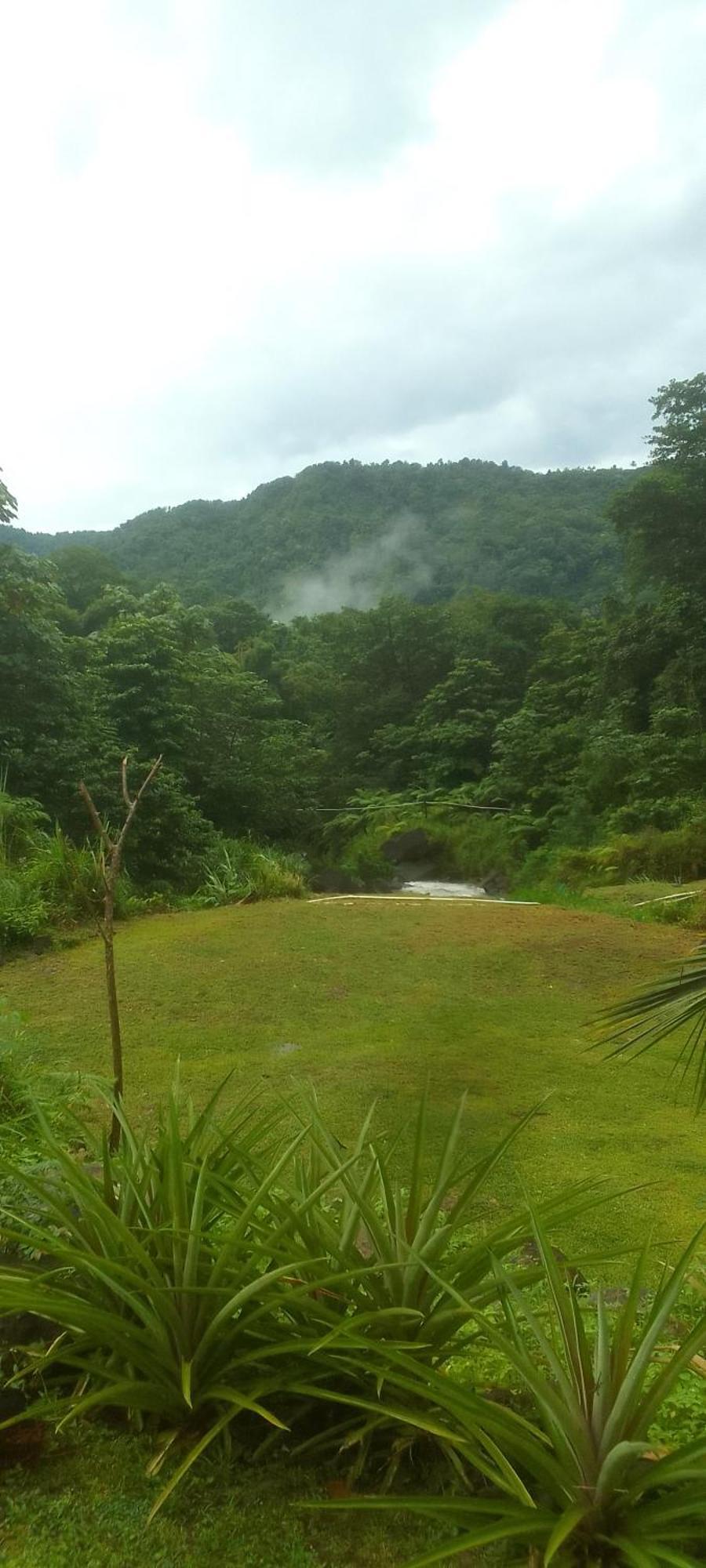 Hotel Natty Tropical Valley 2*