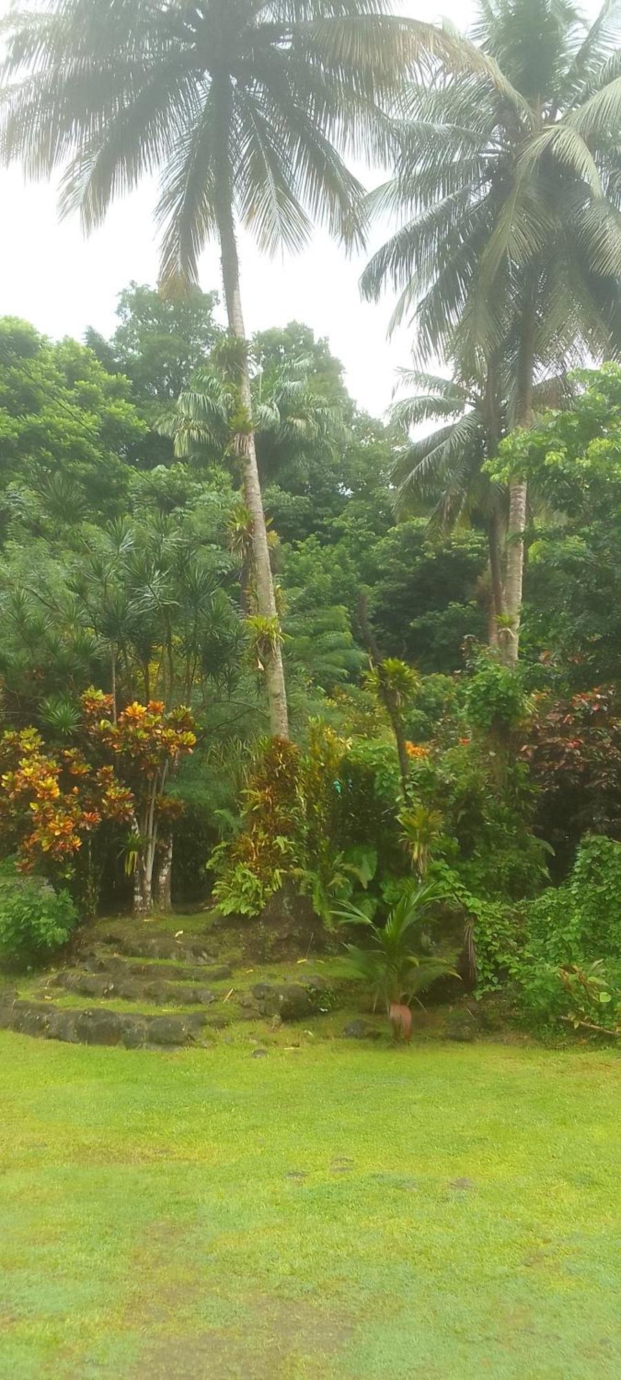 Hotel Natty Tropical Valley Roseau