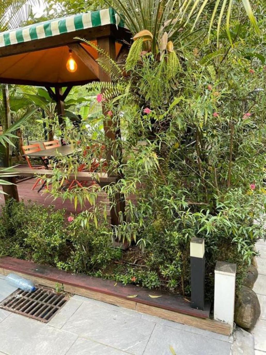 Apartment Appartement Le Cosy Morne-a-l'Eau