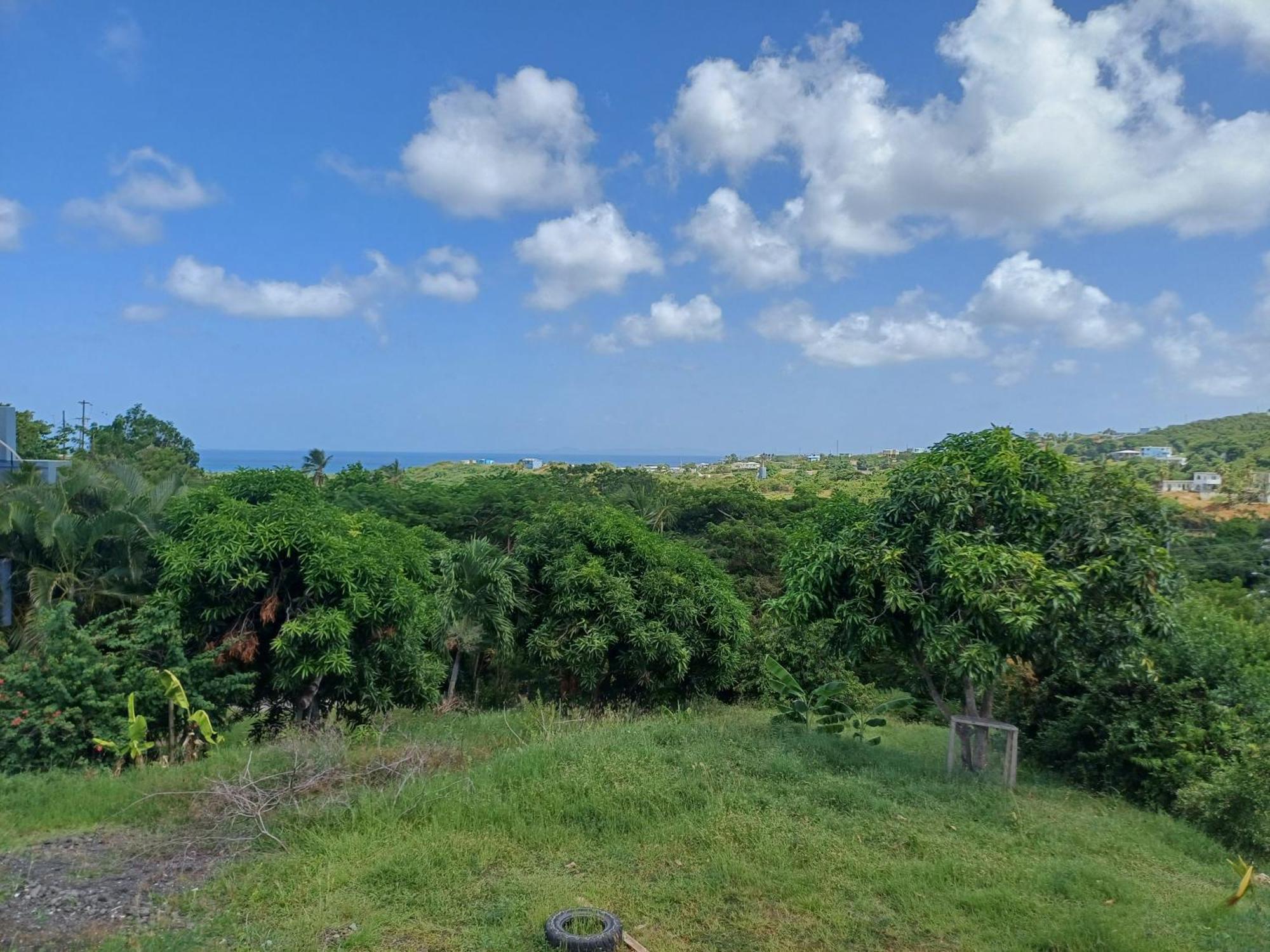 Luxury tent Rooster Run Glamping Has Rooftop And Off The Ground Glamping Experience For 1 To 16 In A Single Tent And Views Of The Rain Forrest And To Culebra Across The Atlantic Ocean W Tents, Linens, Deluxe Air Beds, Warm Shower And At A Great Pric