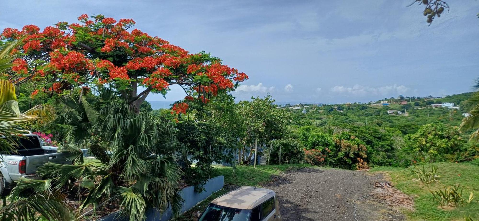 Rooster Run Glamping Has Rooftop And Off The Ground Glamping Experience For 1 To 16 In A Single Tent And Views Of The Rain Forrest And To Culebra Across The Atlantic Ocean W Tents, Linens, Deluxe Air Beds, Warm Shower And At A Great Pric