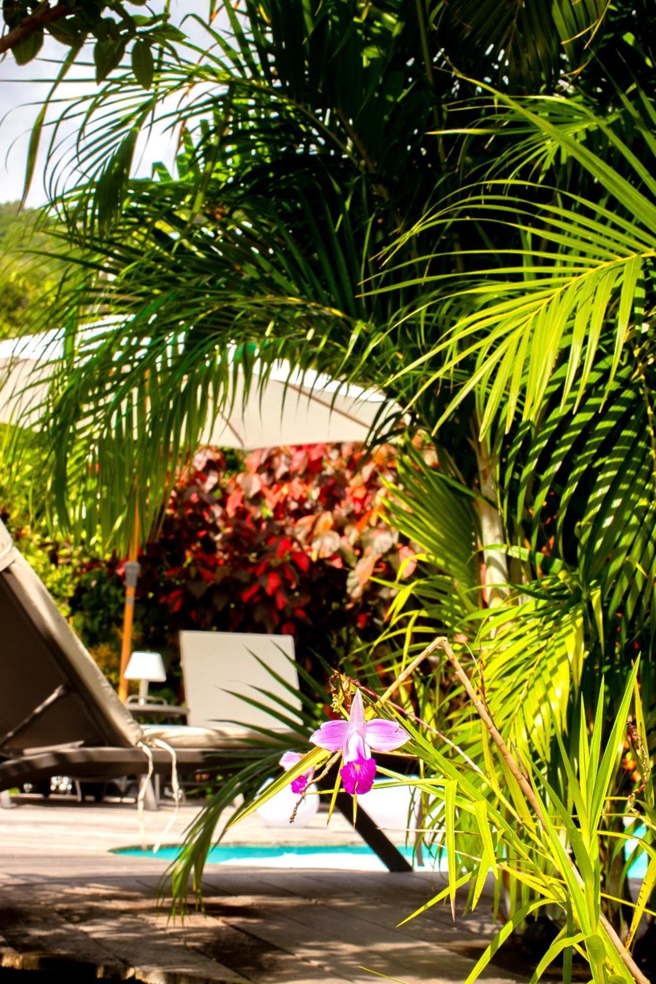 Apartment La Baie Du Marin Le Marin