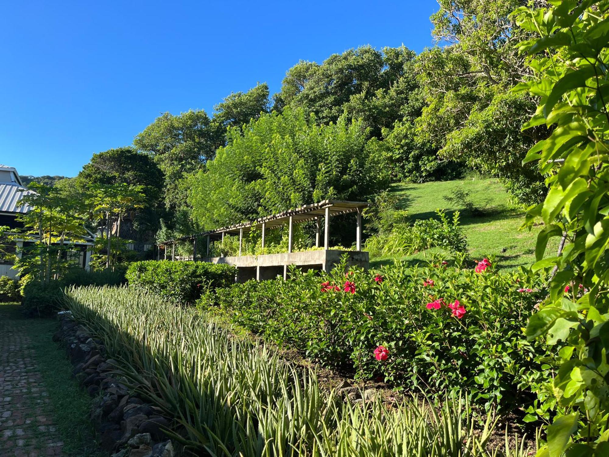 Firefly Estate Bequia 5*