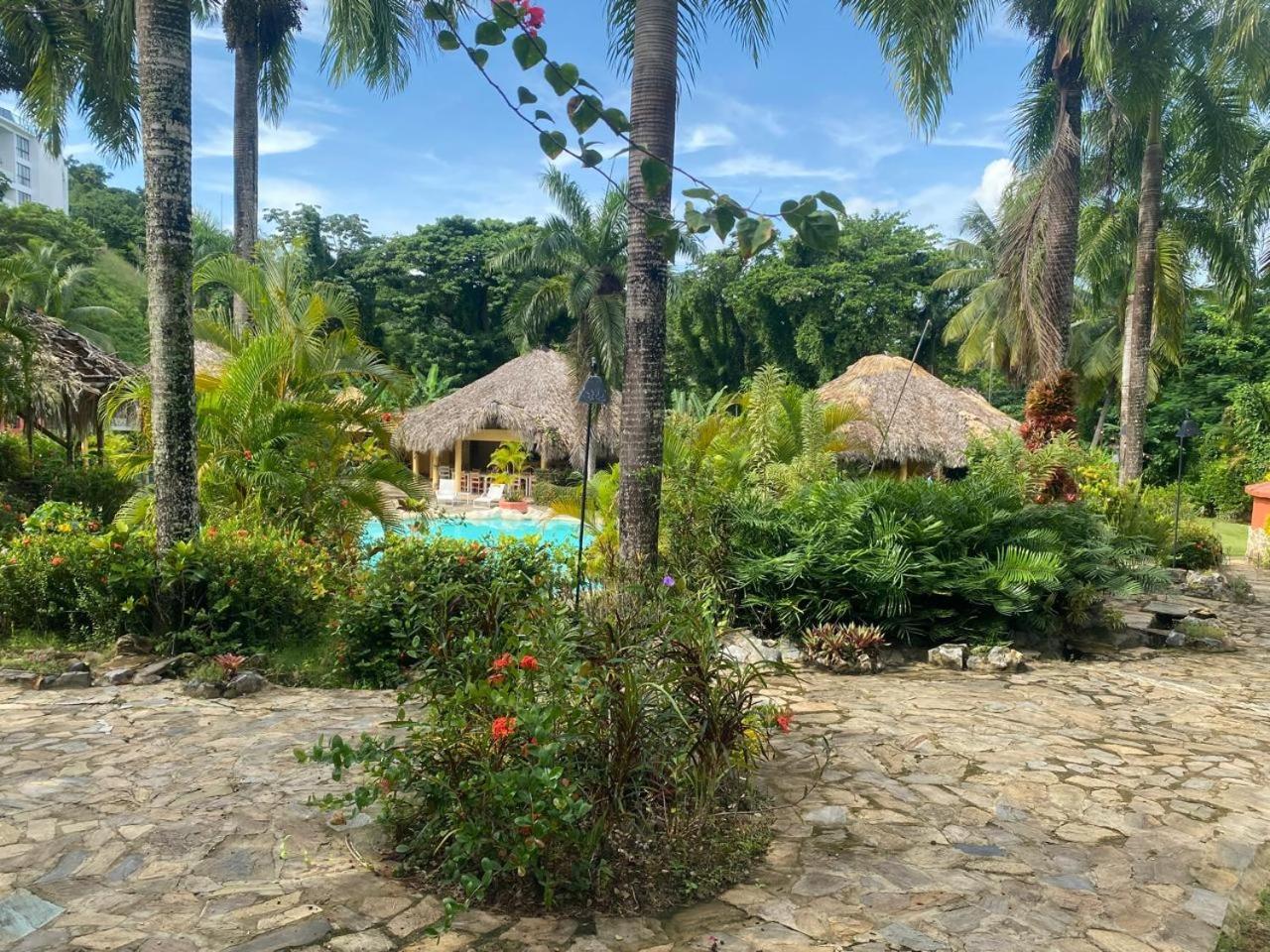- Residencial Madrugada Hotel Las Terrenas
