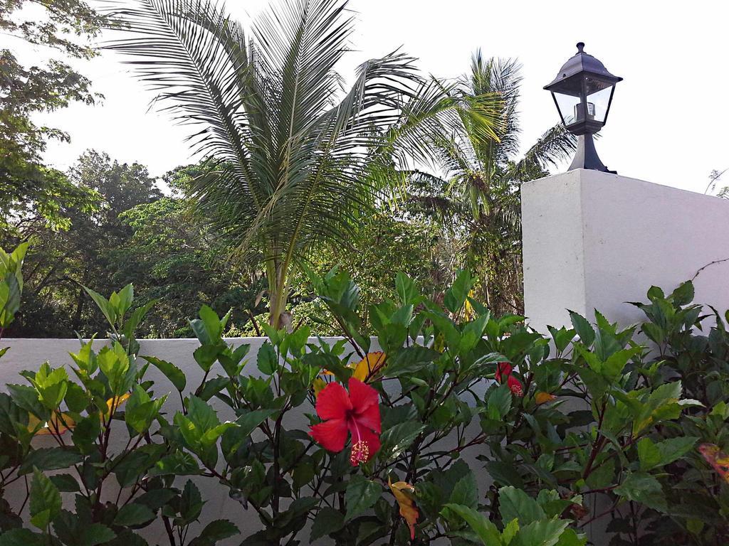 Bed & Breakfast La Casa De Sergio Y Cristina 3*