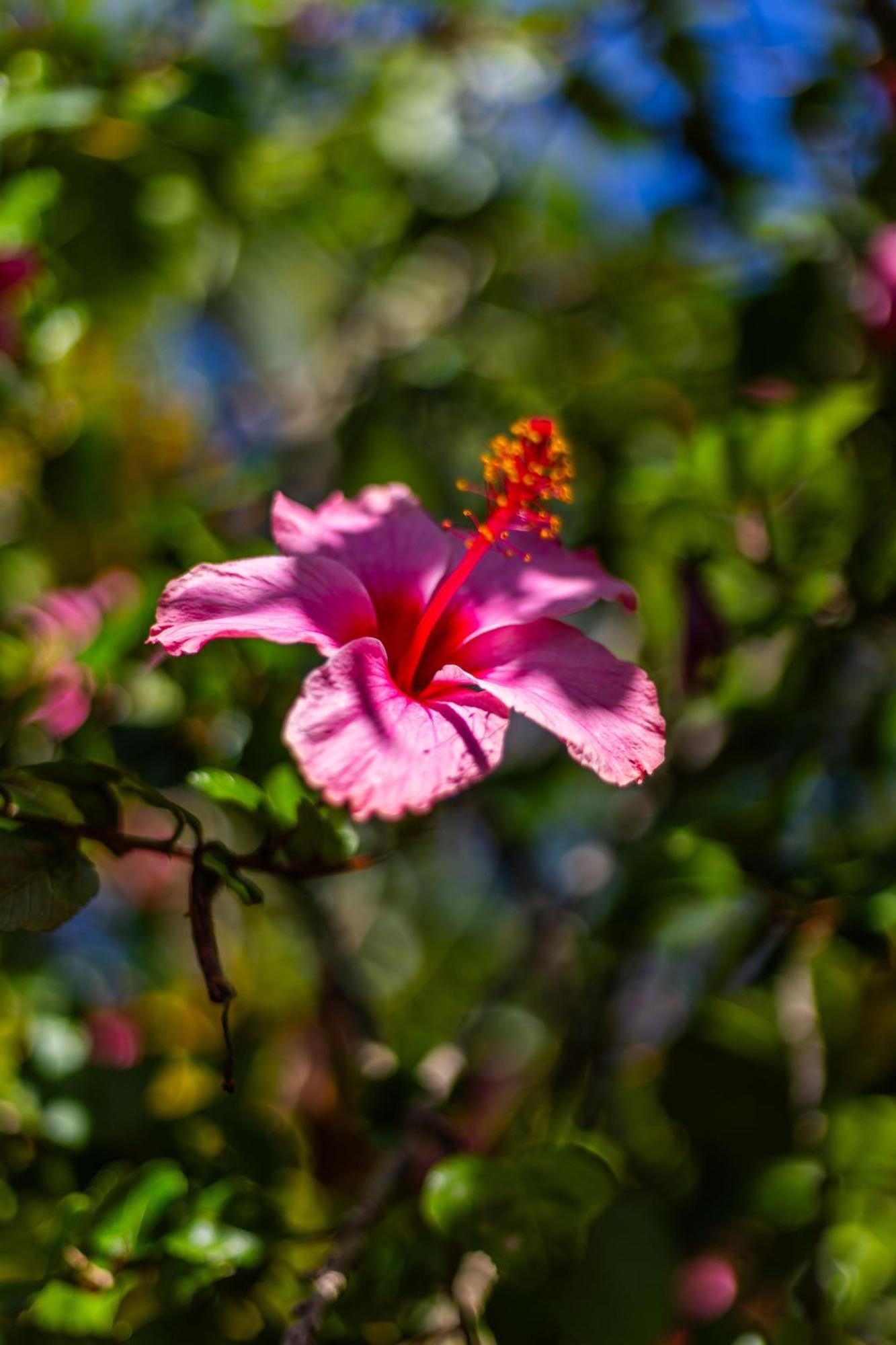 Holiday park De Checheti Trois-Rivieres
