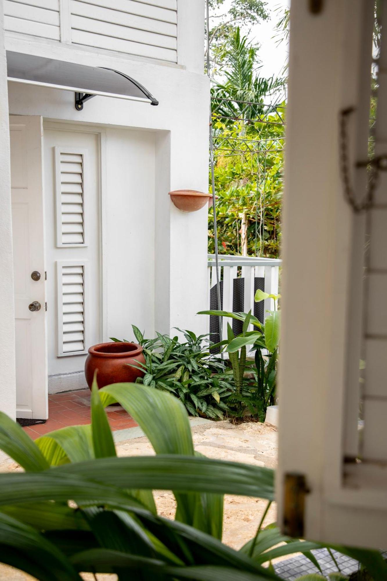 Lf Jungle Retreat Port Antonio