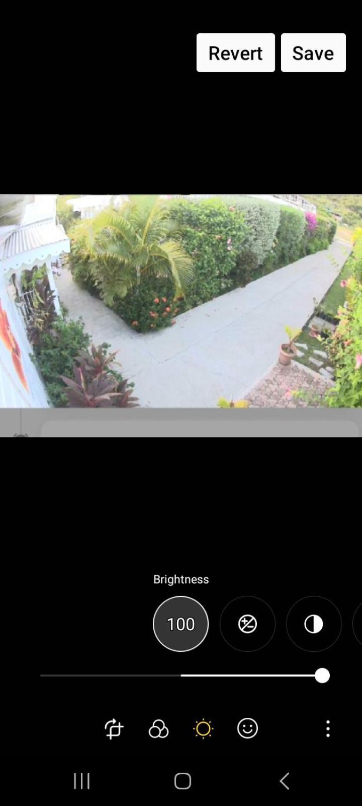Unforgetable Gardens Falmouth Harbour
