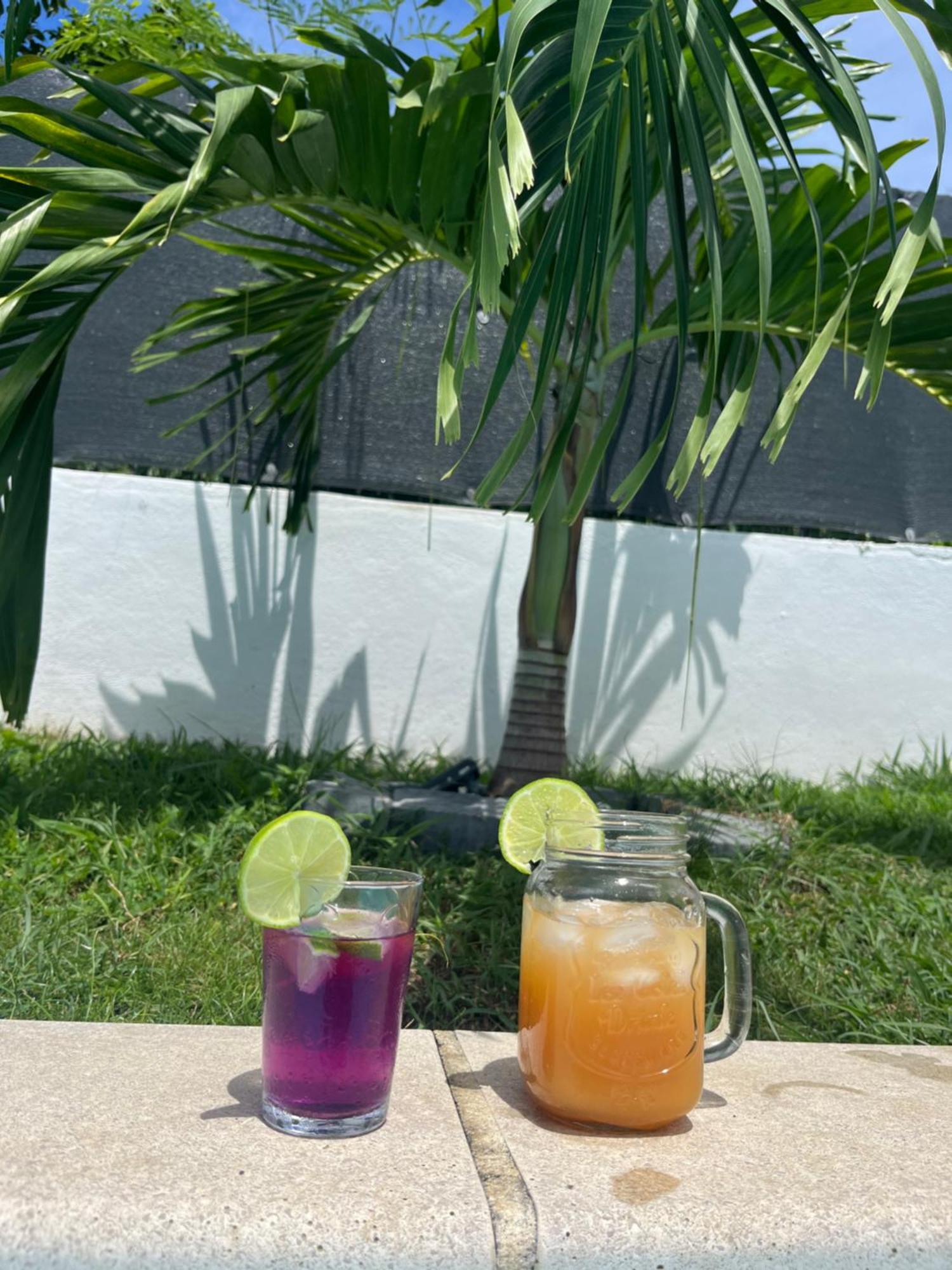 Apartment O'mangos Hibiscus
