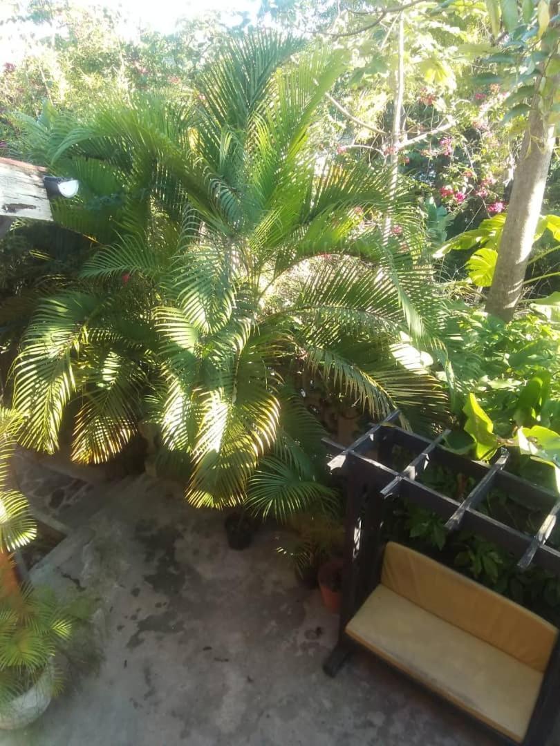 Acomodação com café da manhã  Les Residences Etang Du Jonc Pétionville
