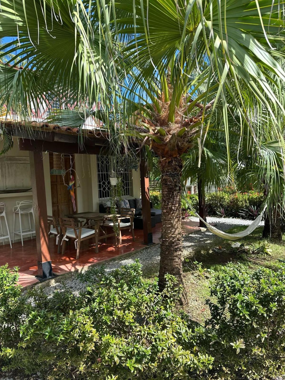 21 Palms Guest house Las Galeras