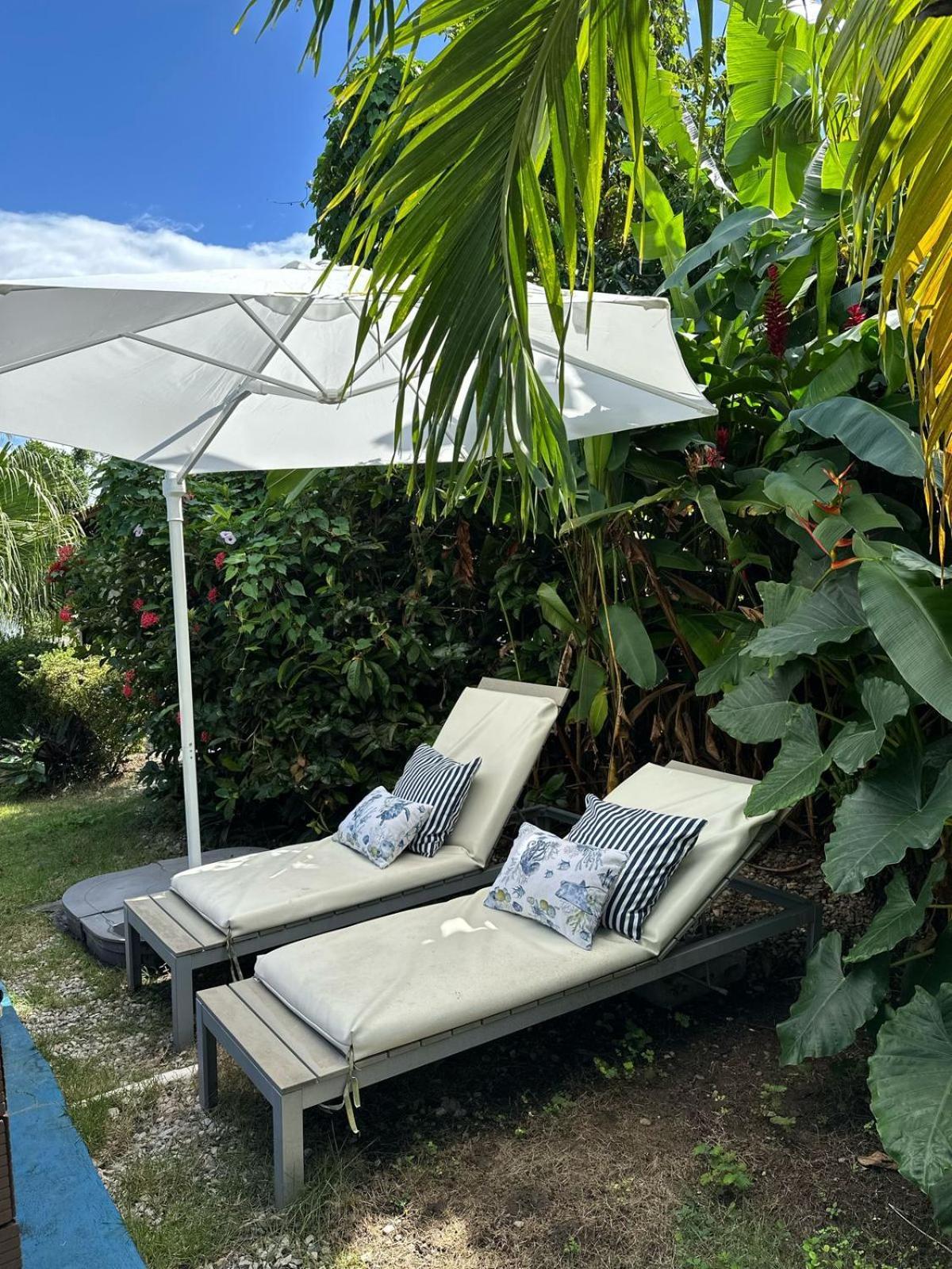 21 Palms Las Galeras