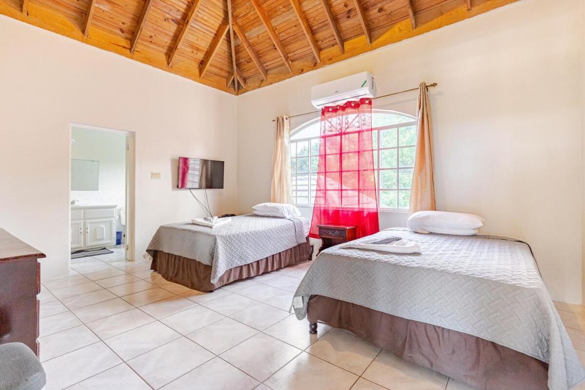 Grand - 9-bedroom Luxury Retreat With Olympic Sized Pool Montego Bay