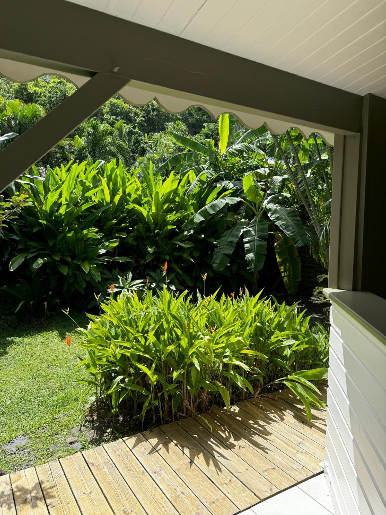 Baz Creole Holiday home Deshaies