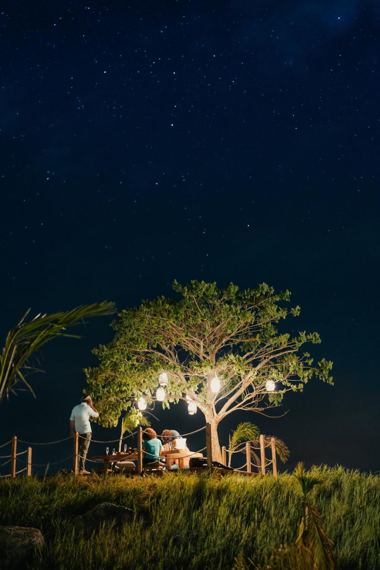 Land Bubble Glamping By Mint * Cabarete