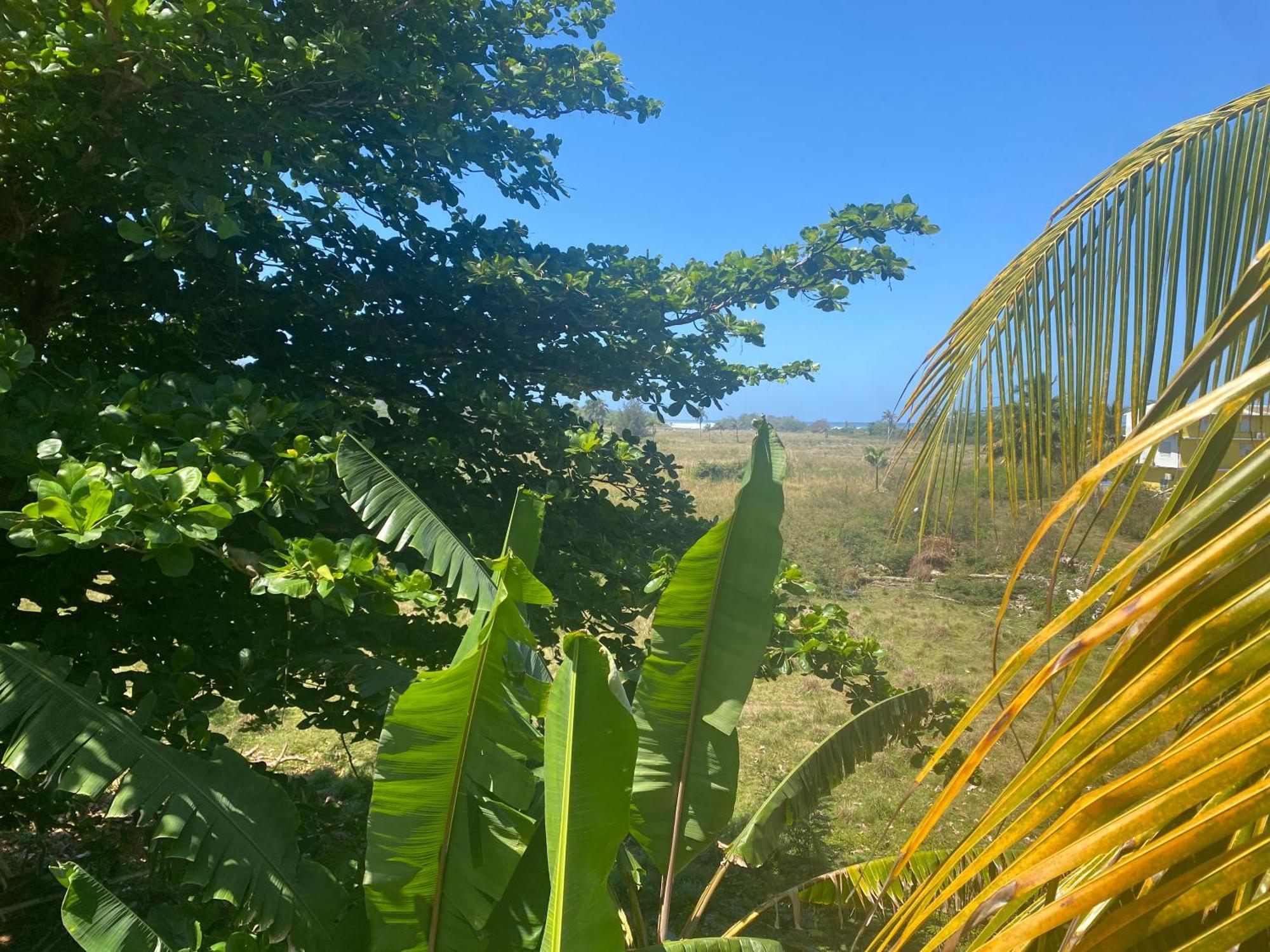 Casa de hóspedes Marsana Aguada