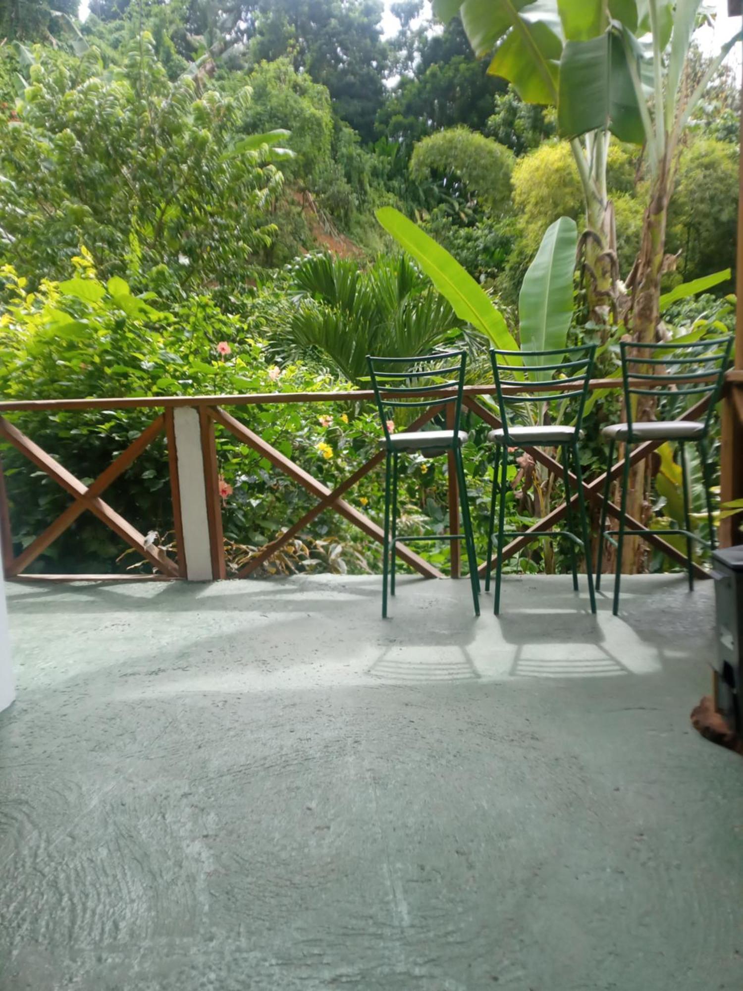 Berkey's Jungle Paradise Holiday home *