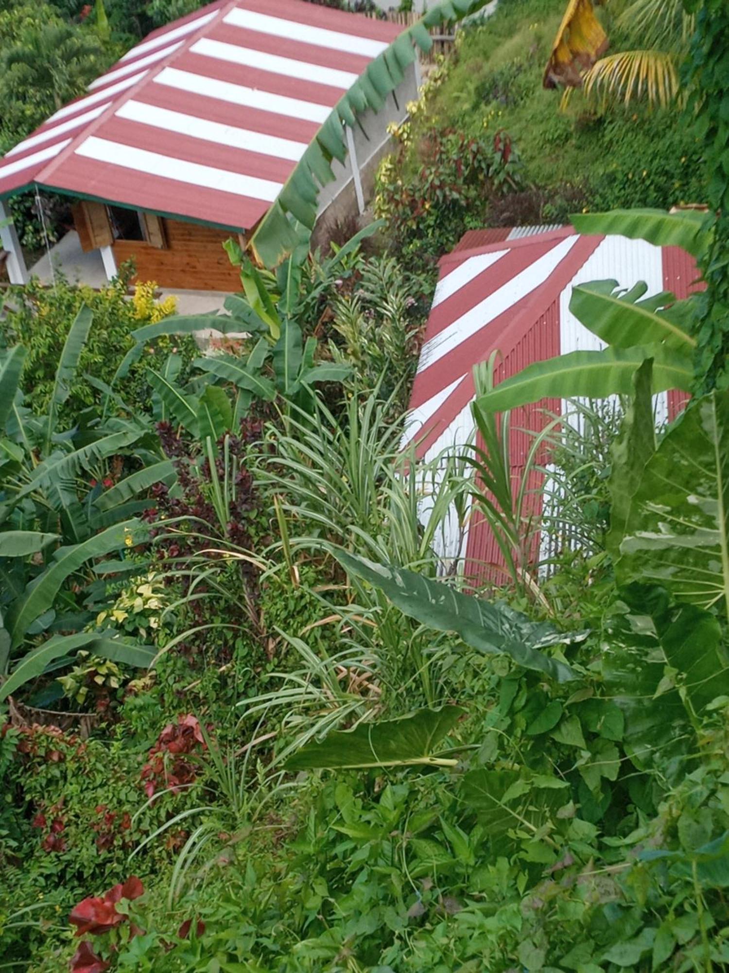 Holiday home Berkey's Jungle Paradise *