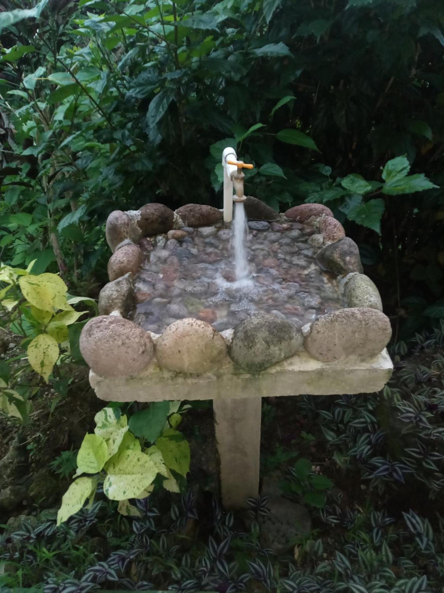 Berkey's Jungle Paradise