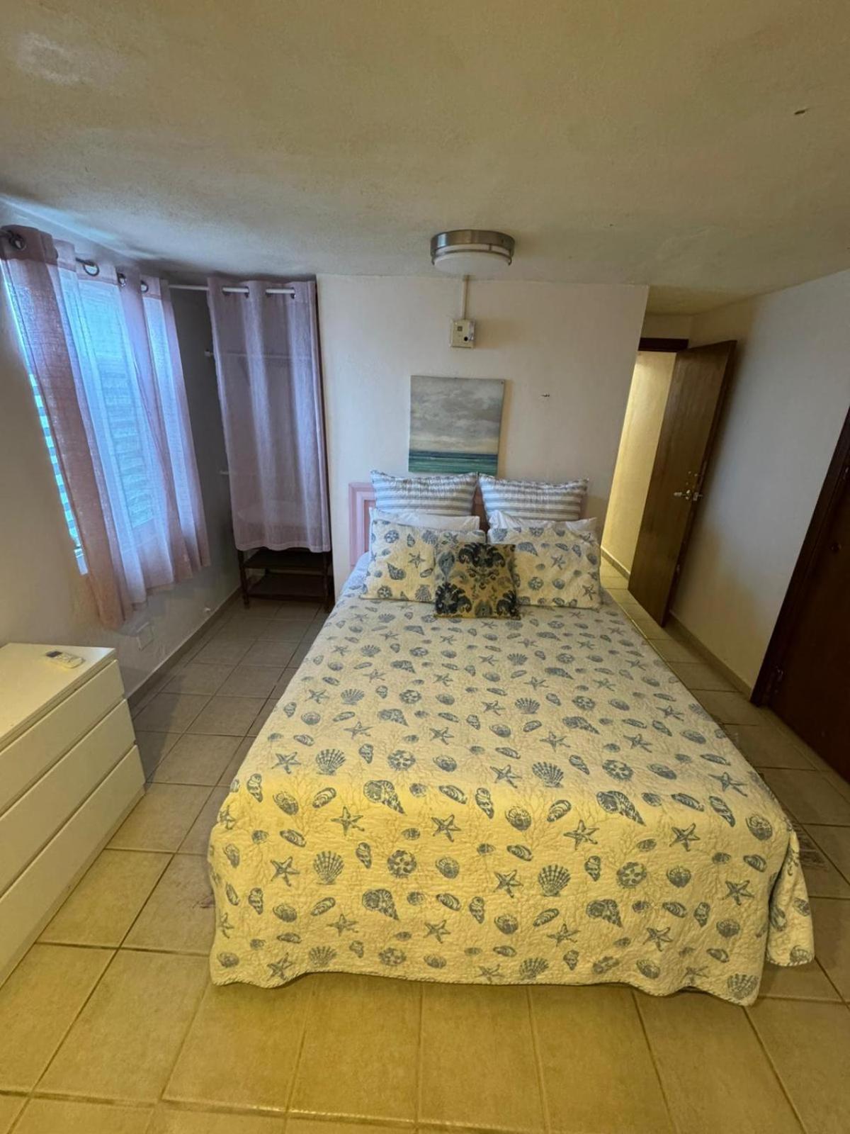 Coral 3*