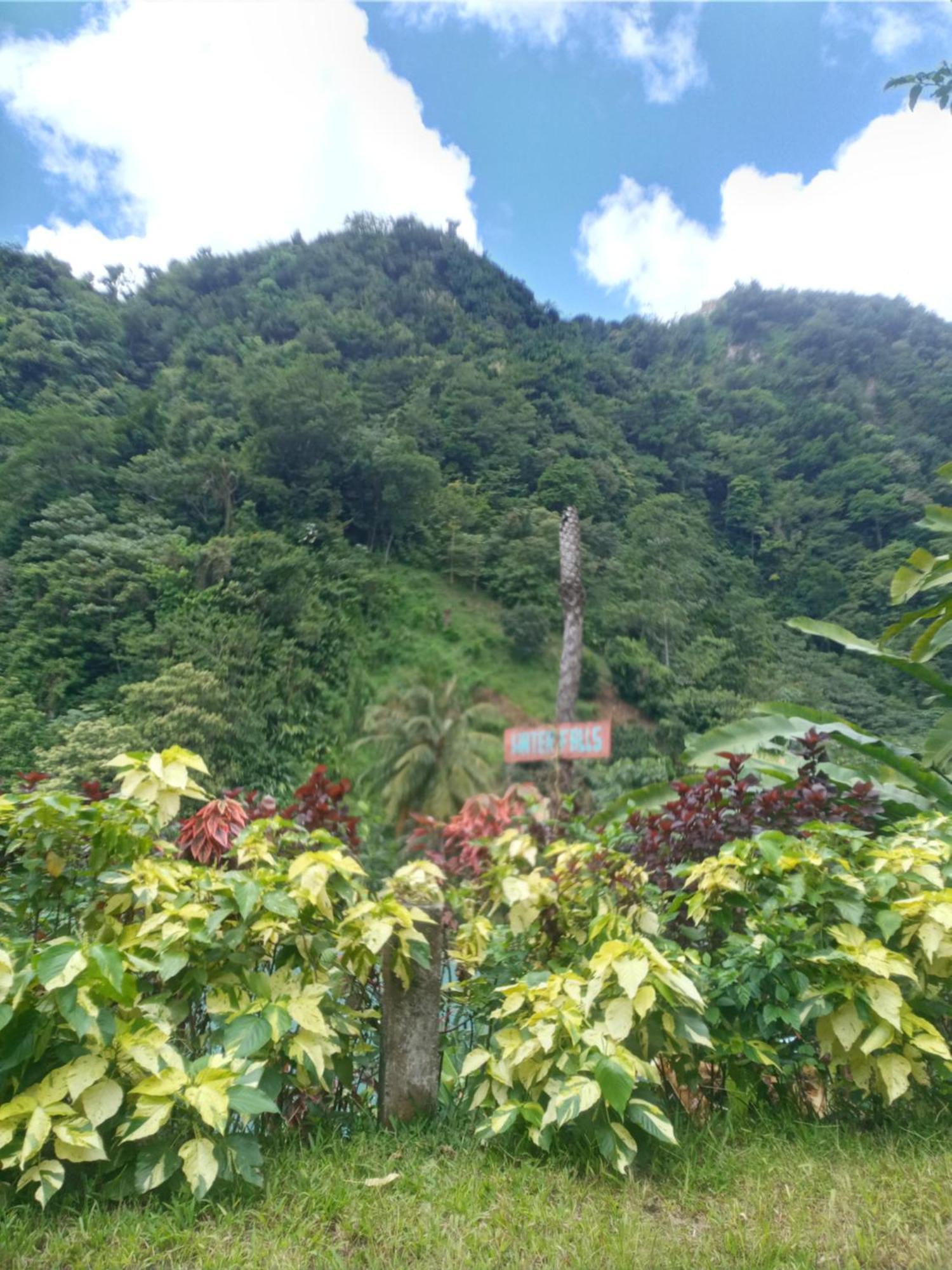 Holiday home Berkey's Jungle Paradise *