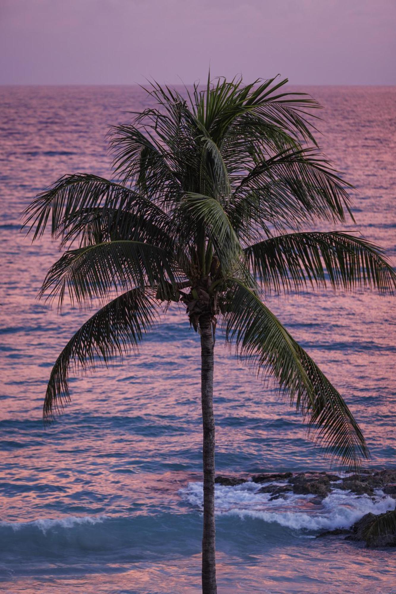 Sandals All Inclusive - Couples Only (adults Only) Montego Bay