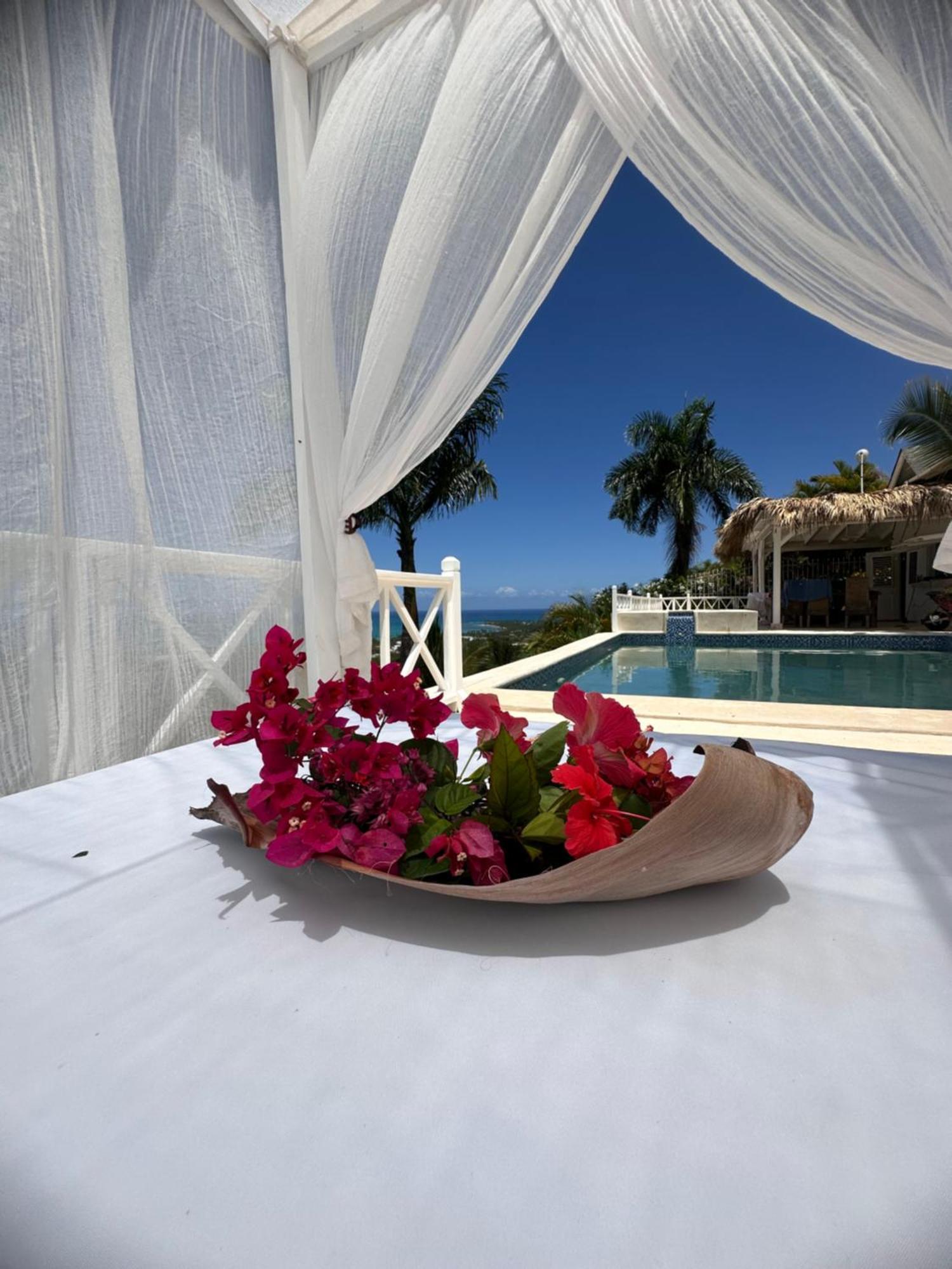 Blanca D'hotes Vue Sur