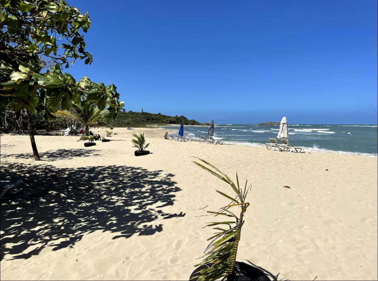 Brand New Beachfront Apartamento