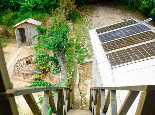 Bambooze Eco Cabin Including Therapeutic Sulphur Baths Roseau
