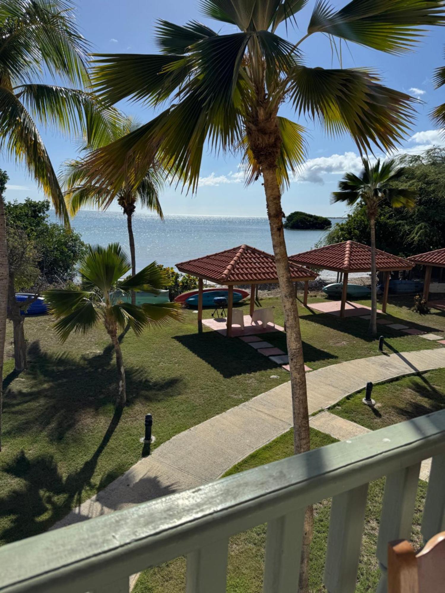 Apartment Ocean View From Balcony Swimming Pool Playa Sucia Cabo Rojo