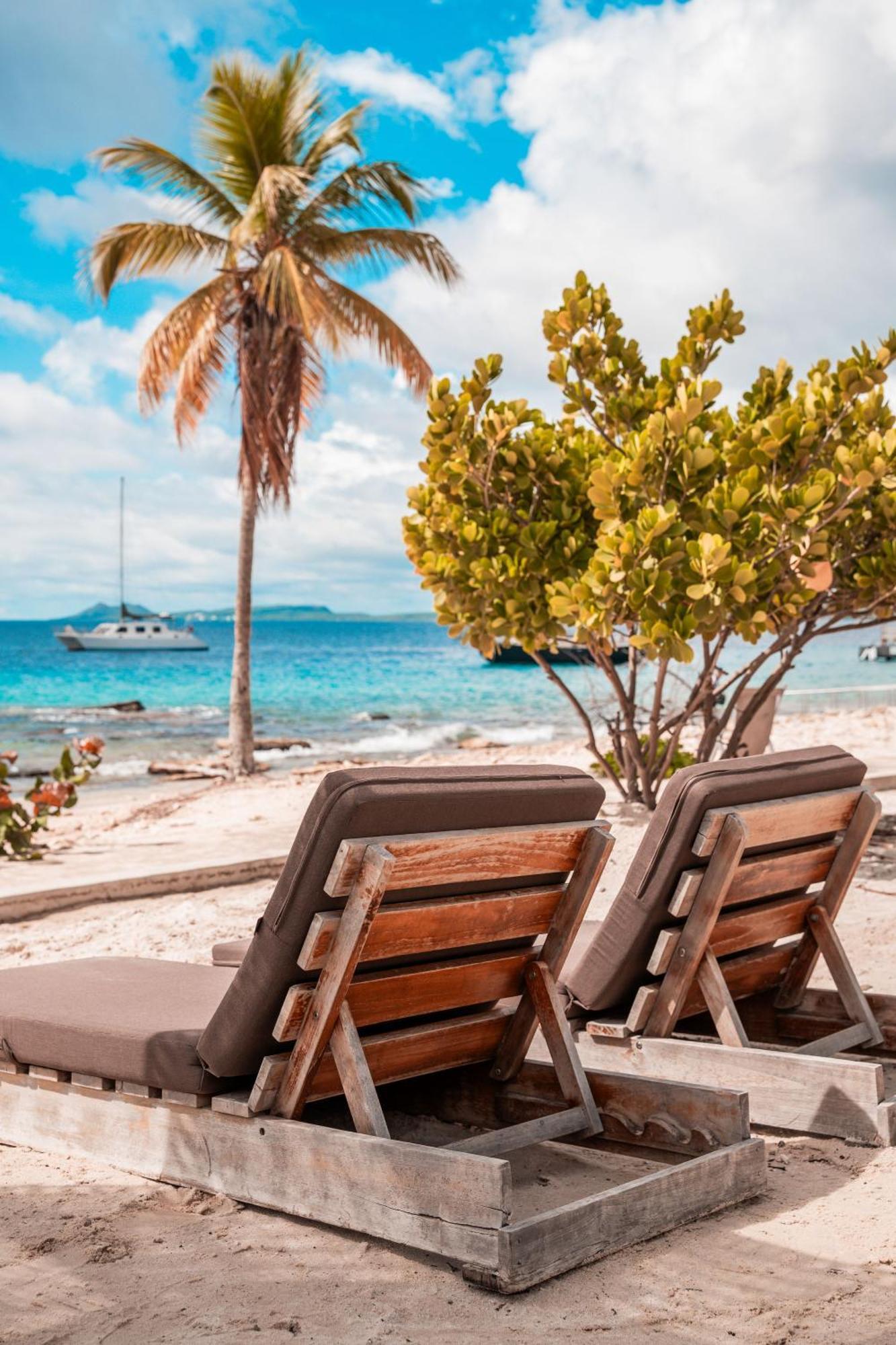 Chogogo Dive & Bonaire