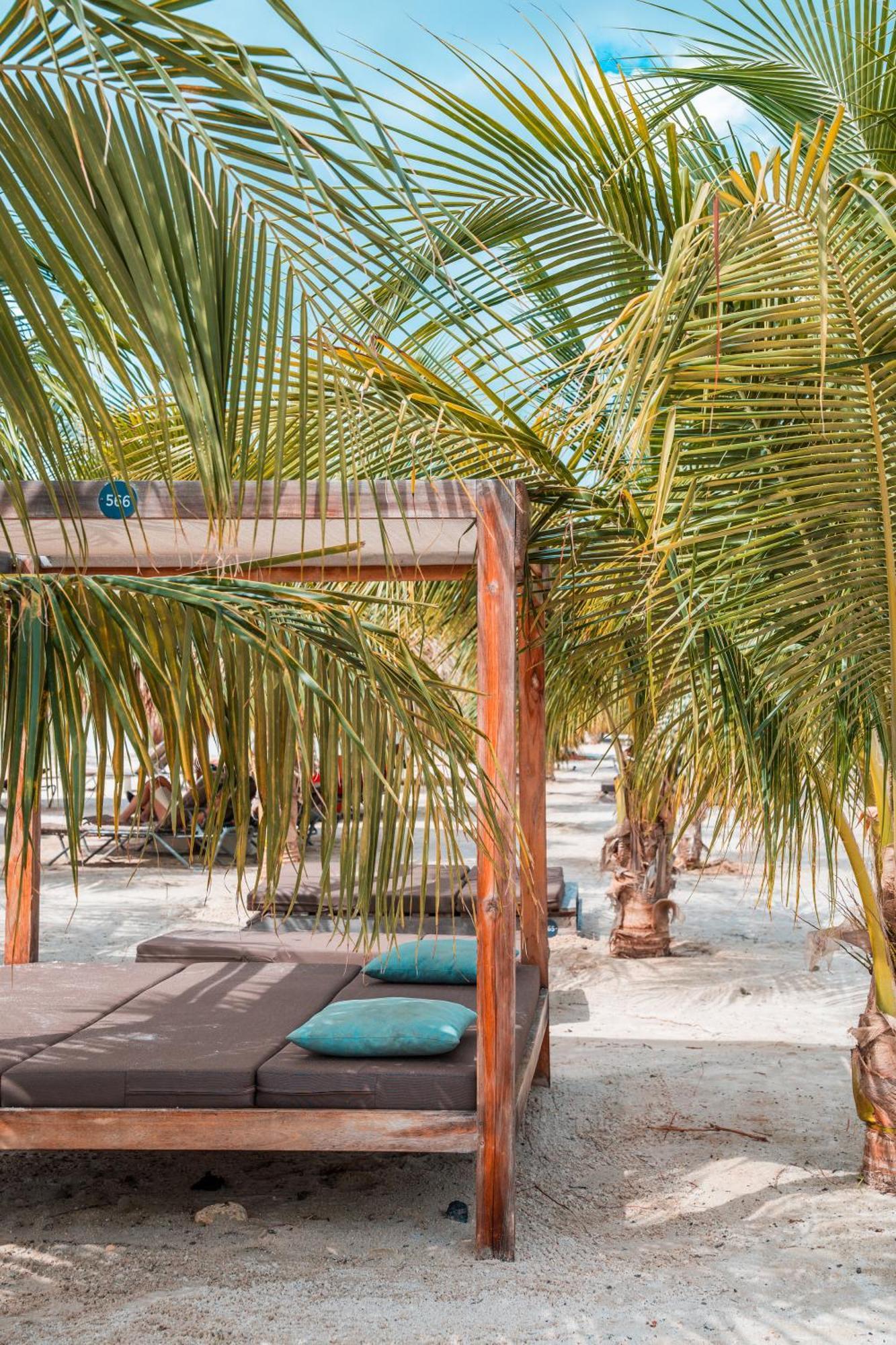 Chogogo Dive & Bonaire Resort 4*