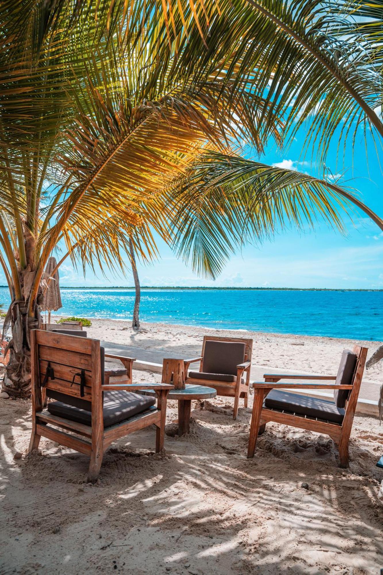 Resort Chogogo Dive & Bonaire 4*