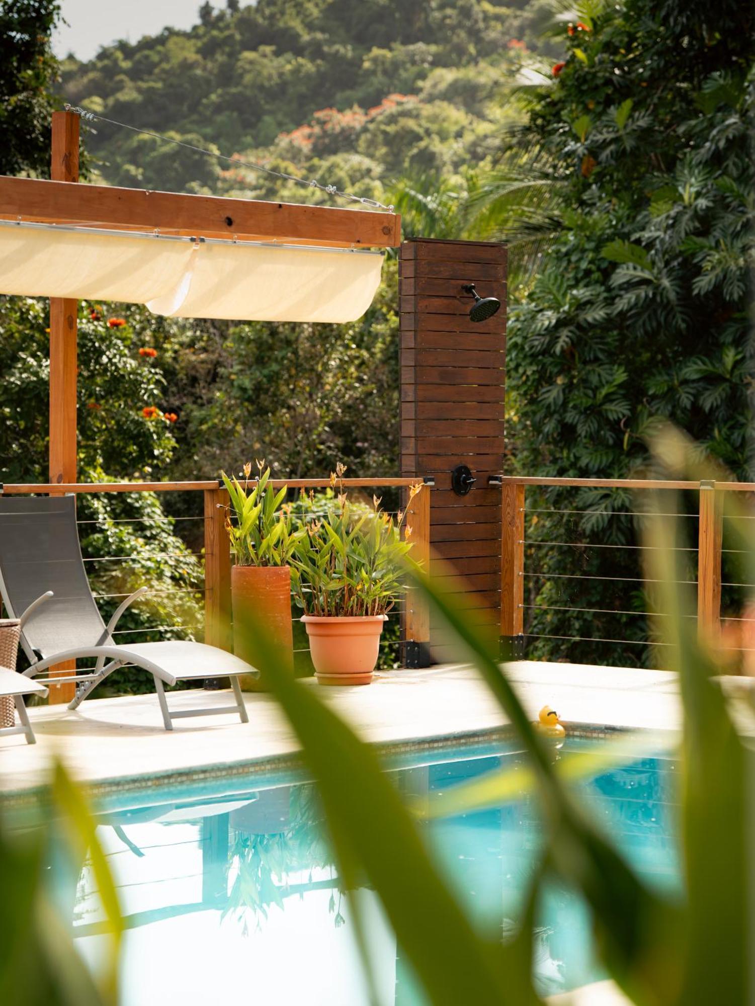 The Serene House *