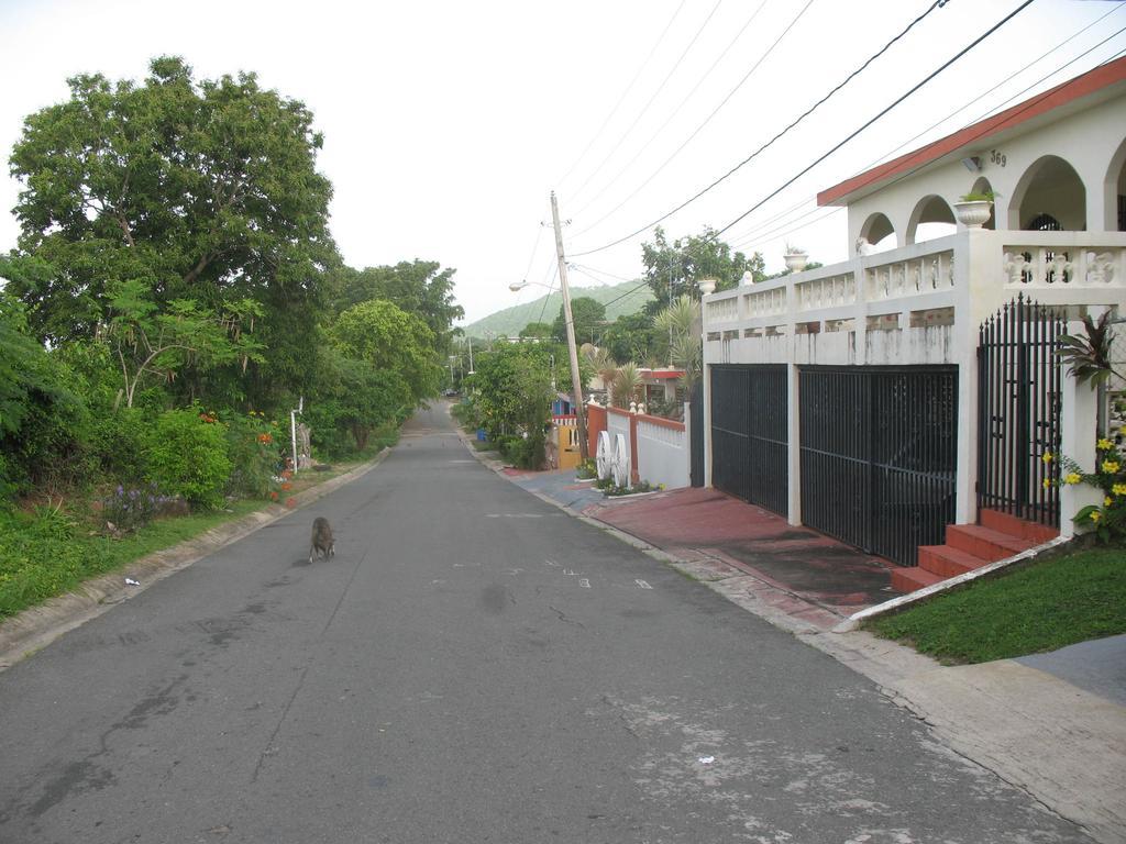 Guest house Casa De Kathy