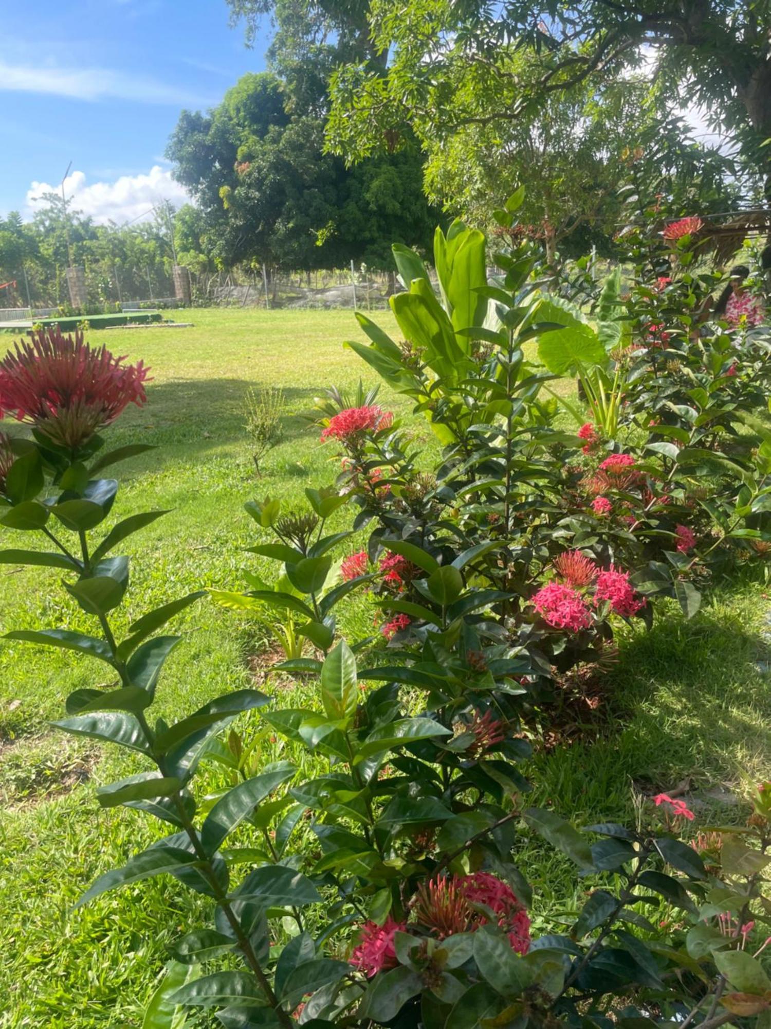 Dreamvilles Ecovillage Galeras *