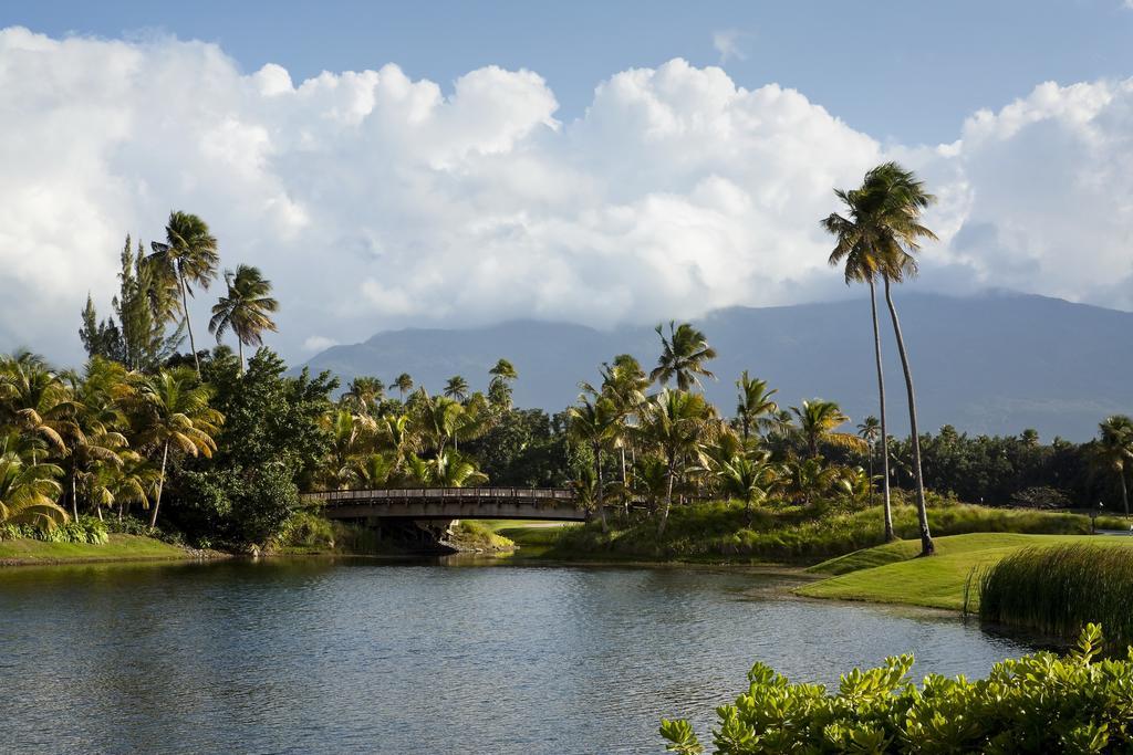 Bahia Beach & Golf Club 5*